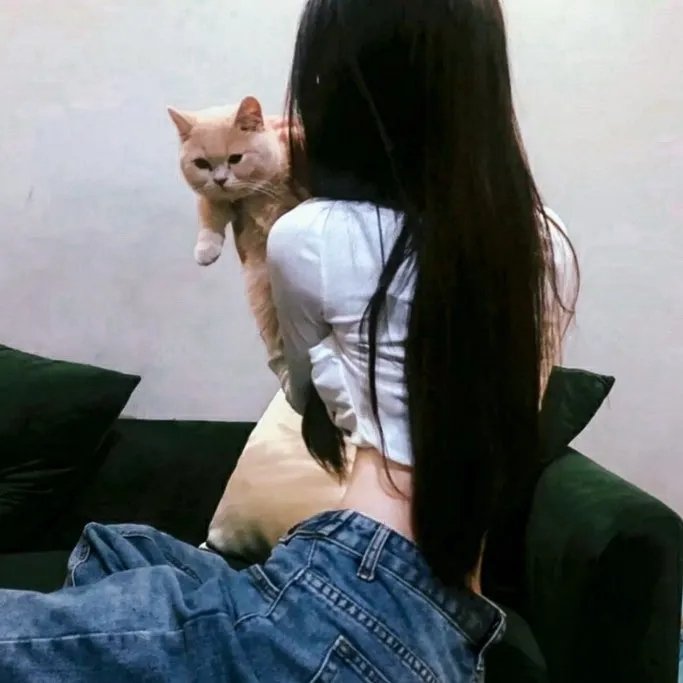 性爱特务
